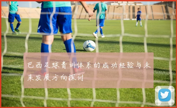 巴西足球青训体系的成功经验与未来发展方向探讨